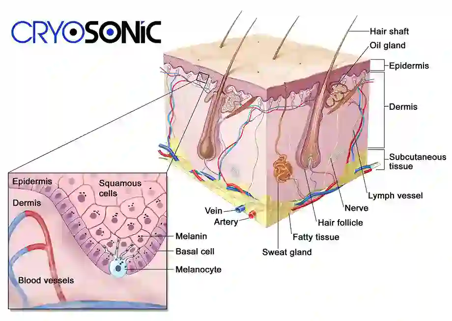 How Cryotherapy Stimulates Melanocyte Activity Stourbridge